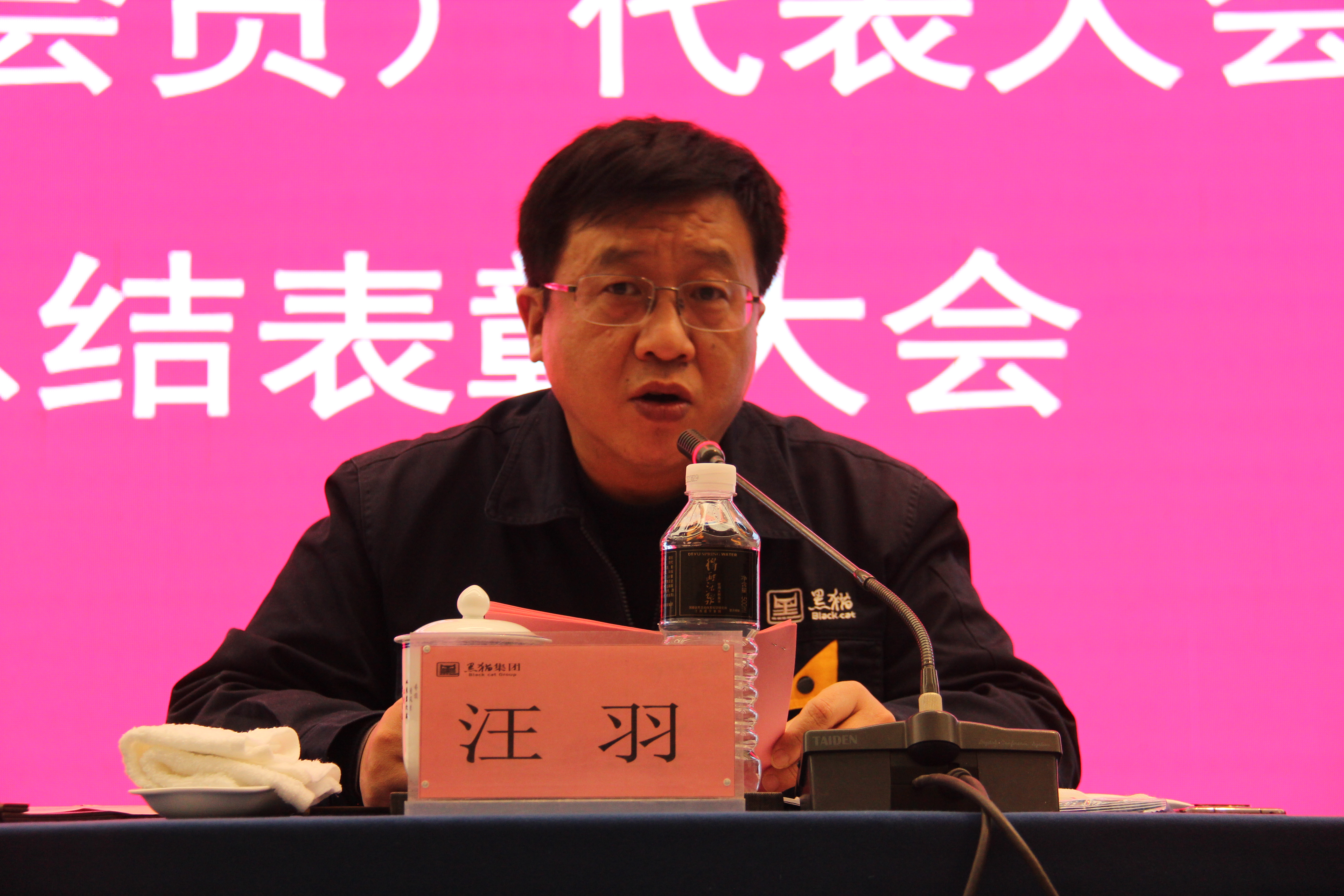 黑貓集團(tuán)黨委副書記、總經(jīng)理汪羽發(fā)言 (2).JPG