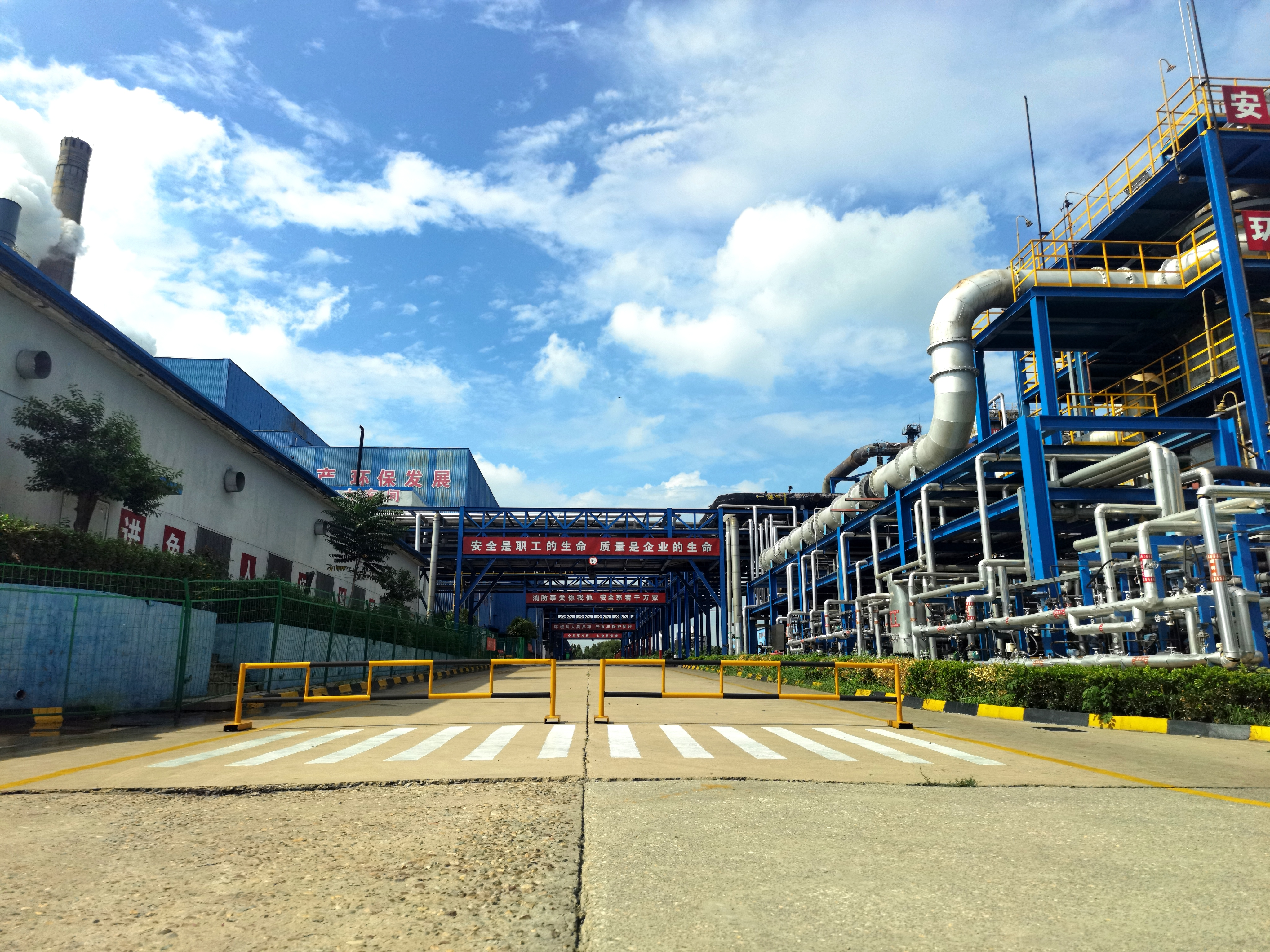 邯鄲黑貓6.png 邯鄲黑貓6.png